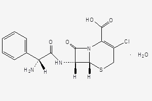头孢克洛